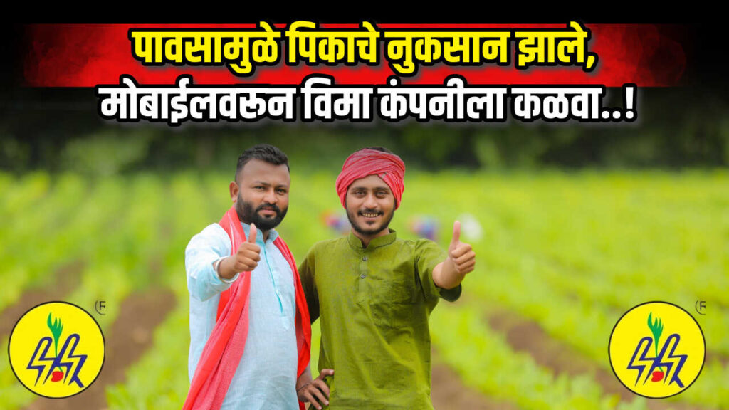 Crop insurance 2025