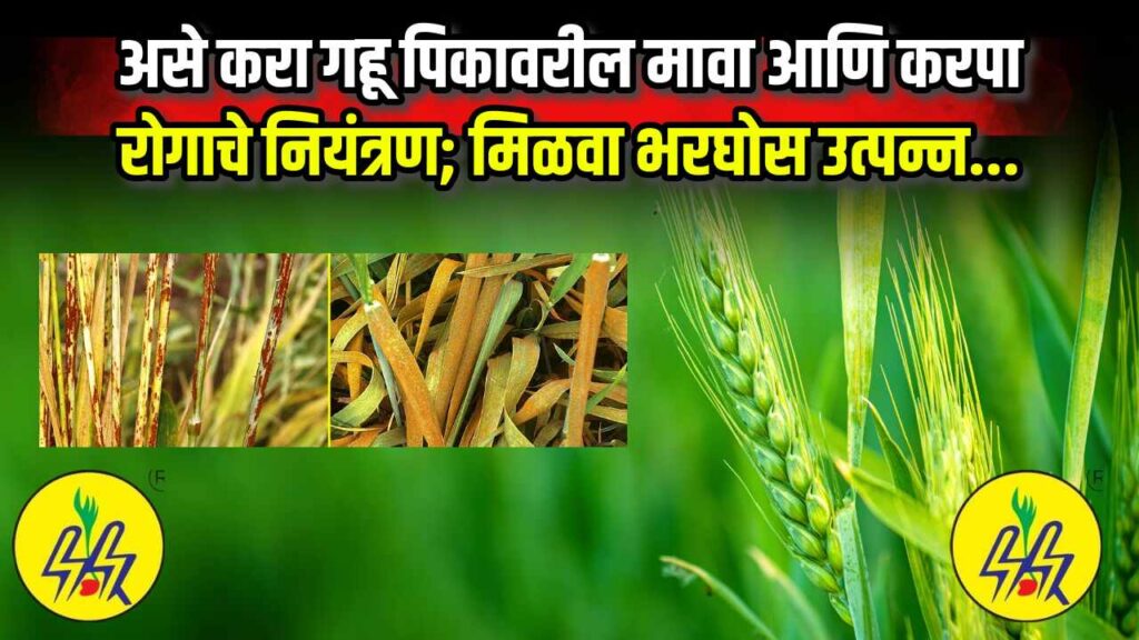 Gahu pikavaril rog niyantran