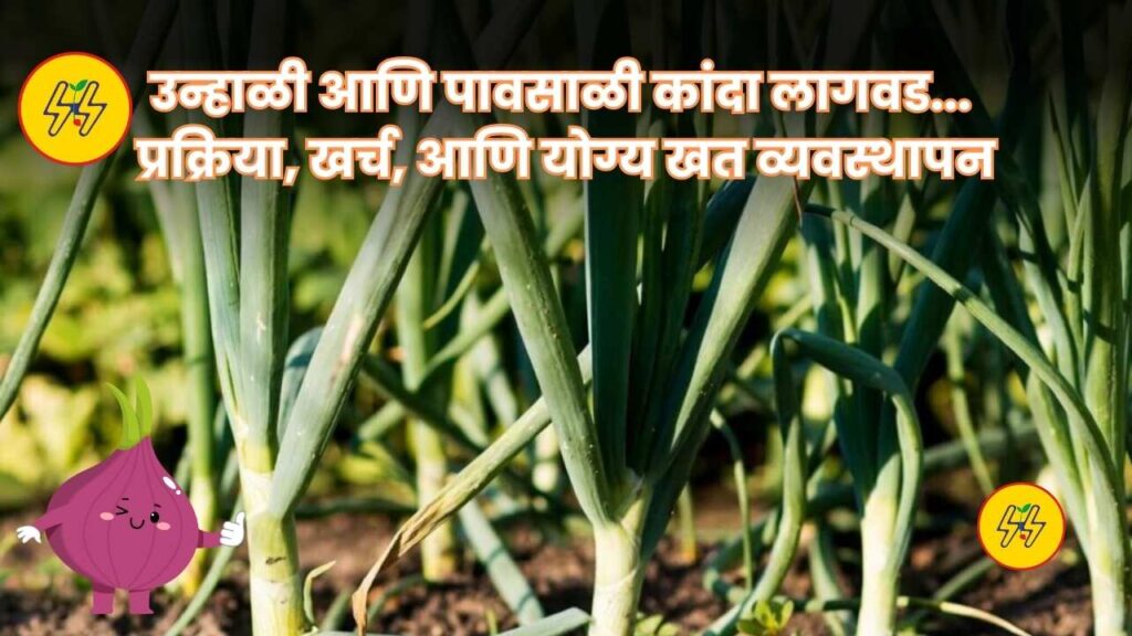 Onion Lagwad 2025