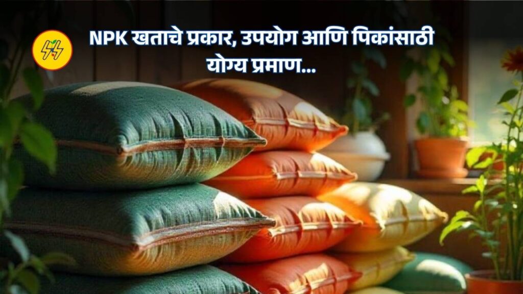 NPK Fertilizer 2025