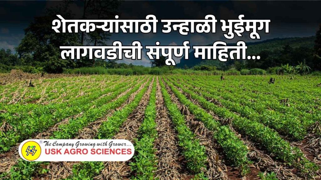 Bhuimug Lagavad 2025