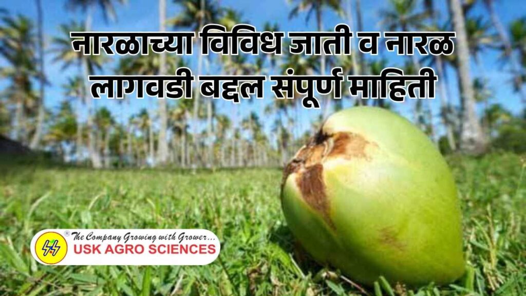 Naral lagwad 2025