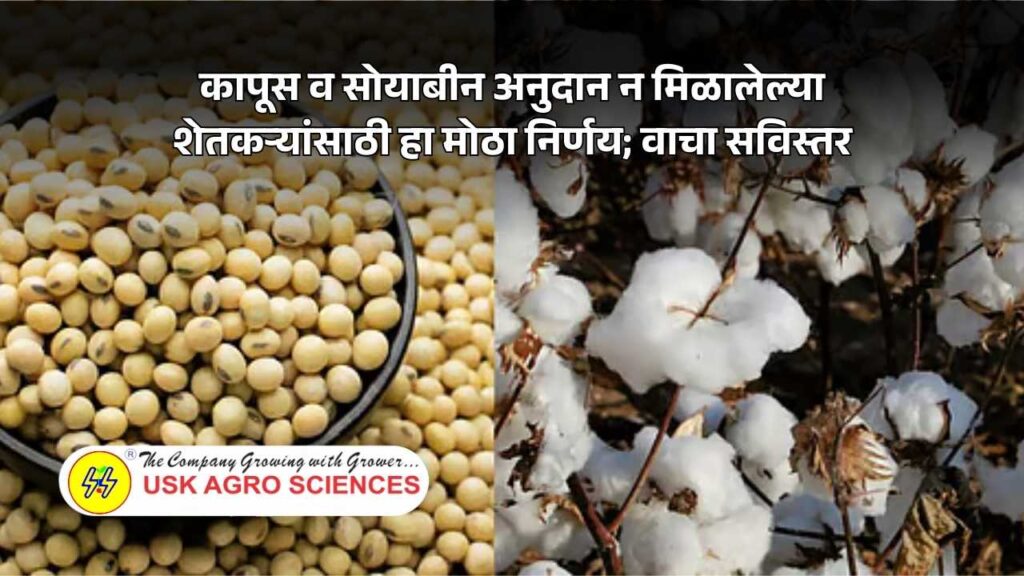 Kapus Soyabean Anudan 2025