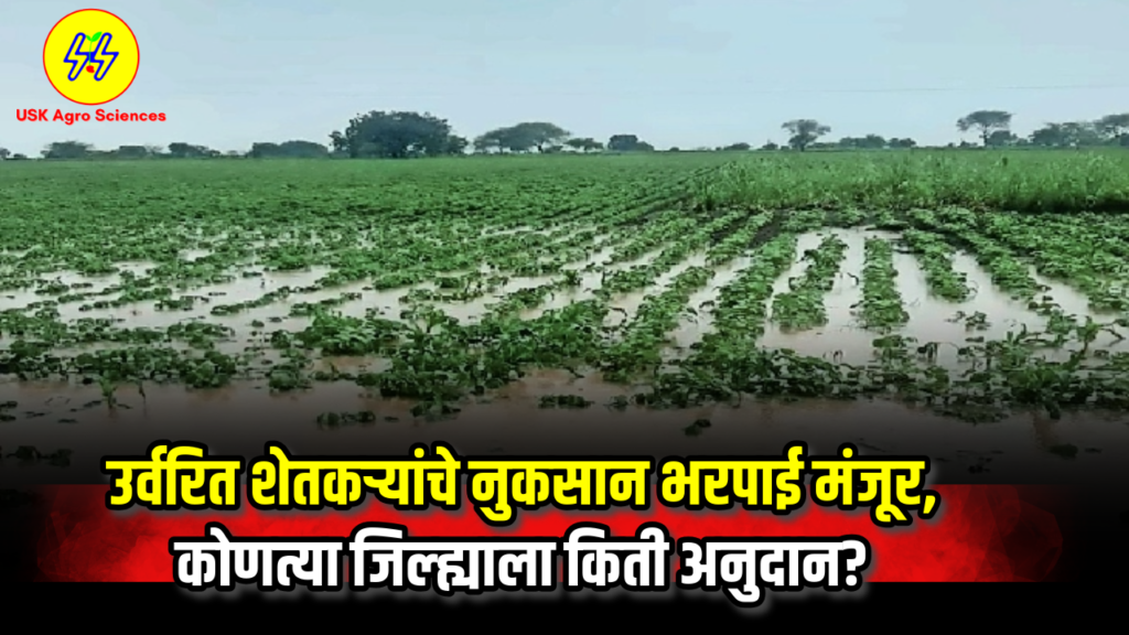 Nuksan Bharpai 2025