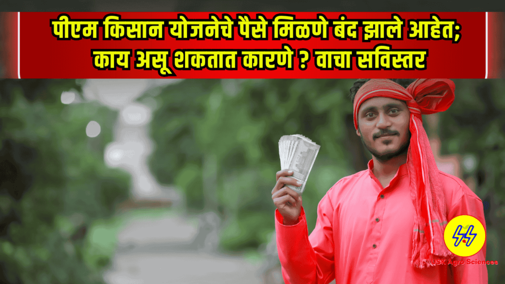 PM Kisan Yojana 2025