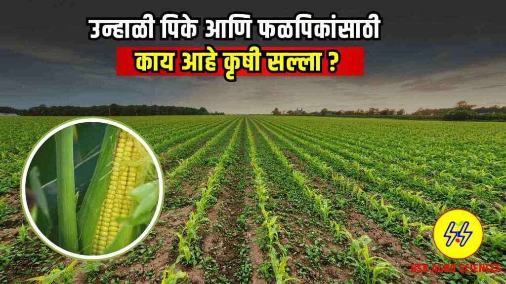Summer Crop Management 2025