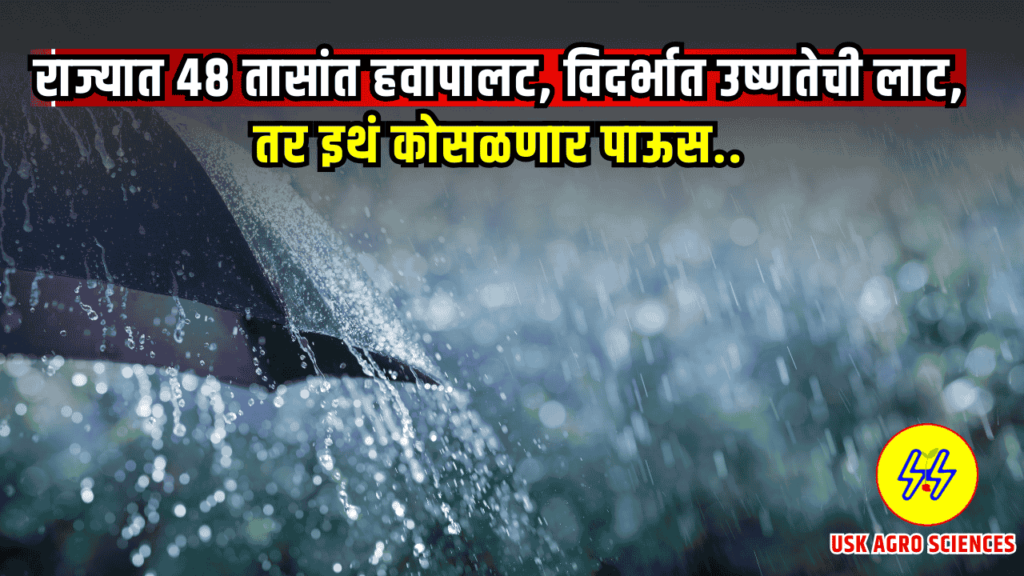 Vidarbha Rain 2025