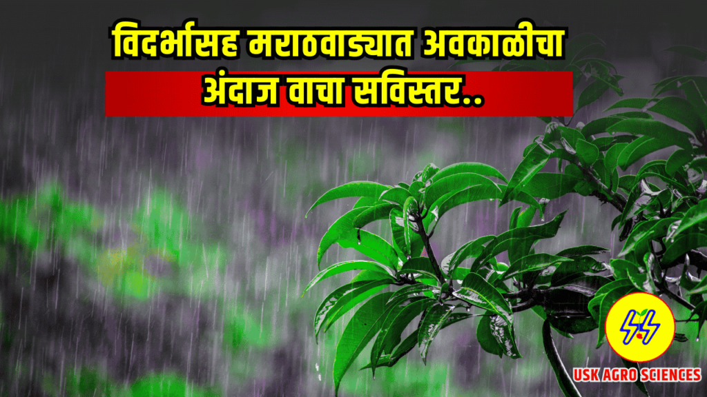 Vidarbha Havaman 2025