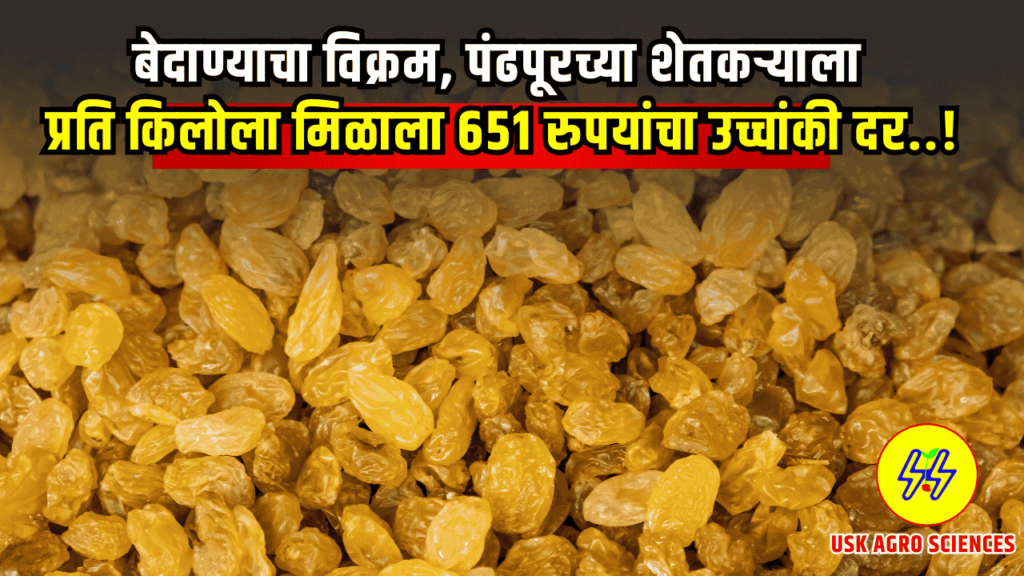 Bedana Bajarbhav 2025