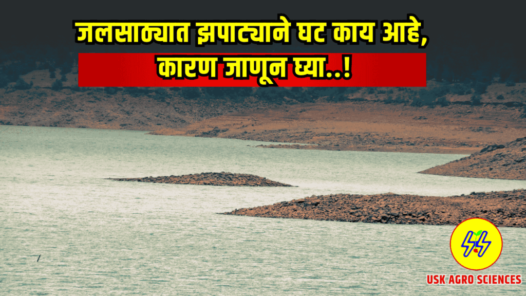 Dam Water Storage 2025