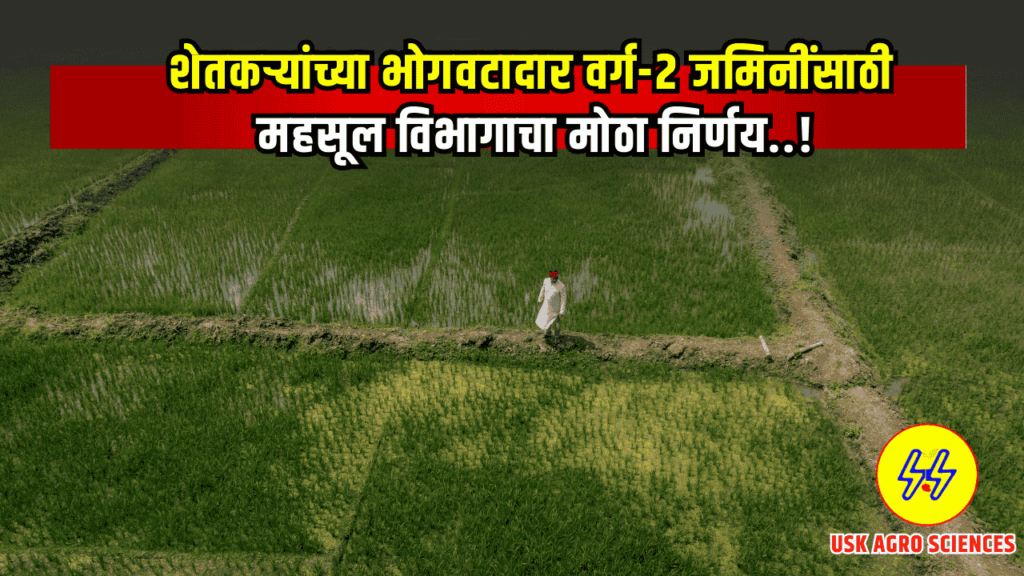 Varga Don Jamini 2025