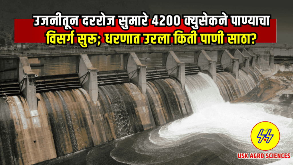 Ujani Dam Water 2025