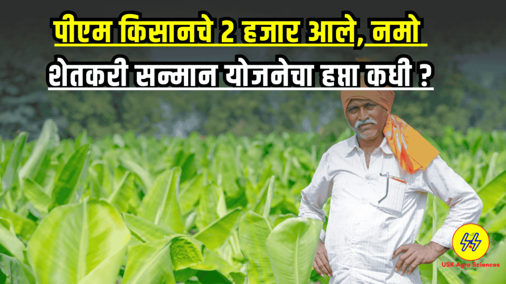 Namo Shetkari Yojana 2025