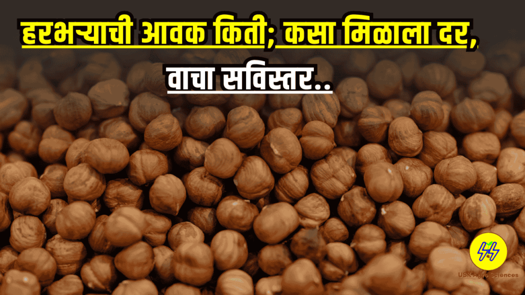 Harbhara Bajarbhav 2025