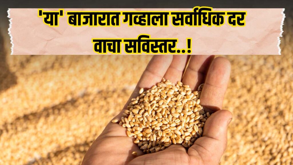 Wheat Market 2025