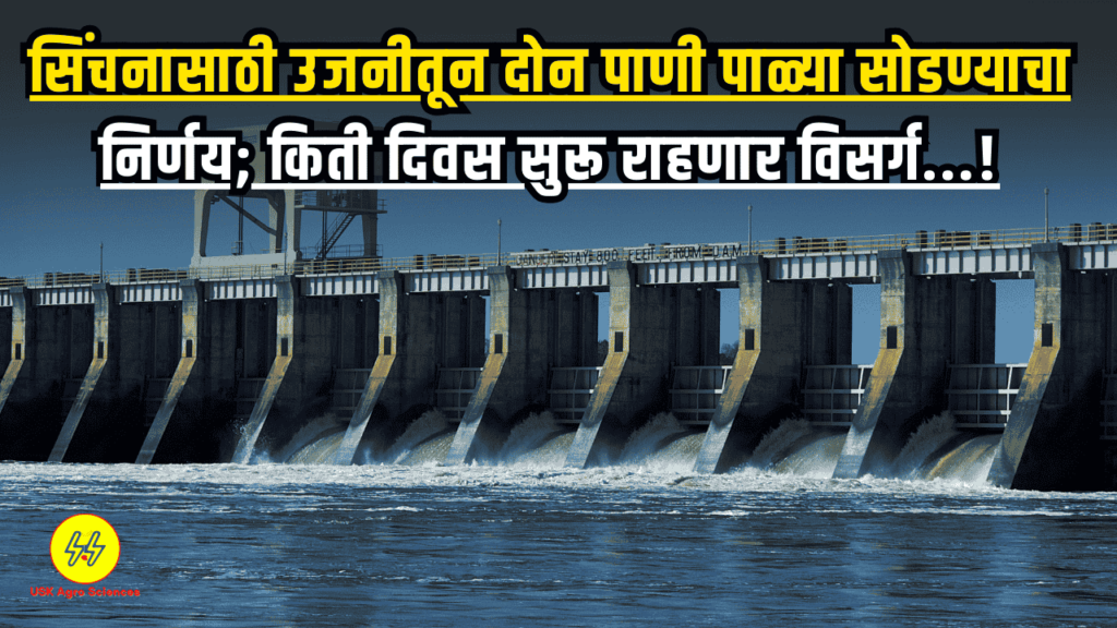 Ujani Dam 2025