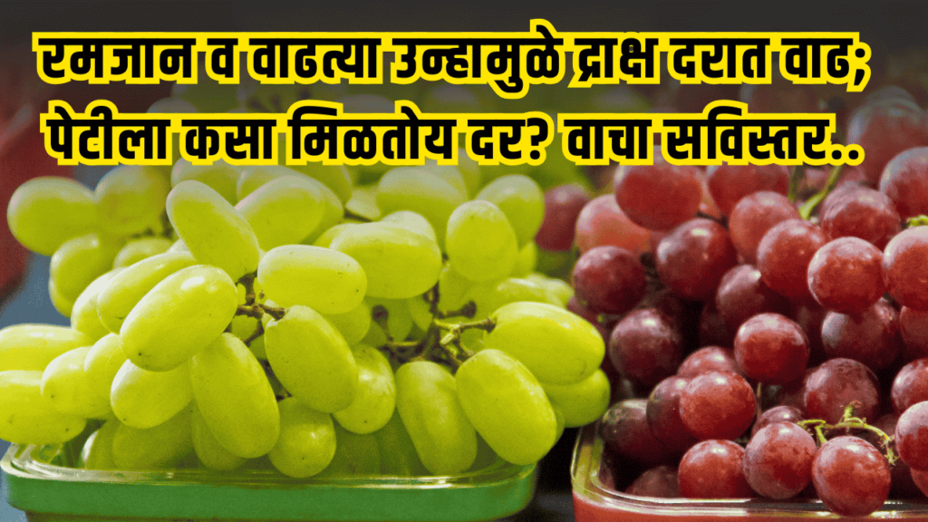 Draksh Bajarbhav 2025
