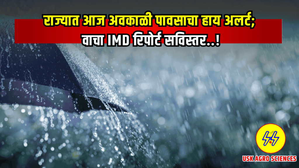 IMD Report Update 2025