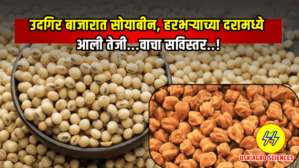 Soyabean Bajarbhav April 2025