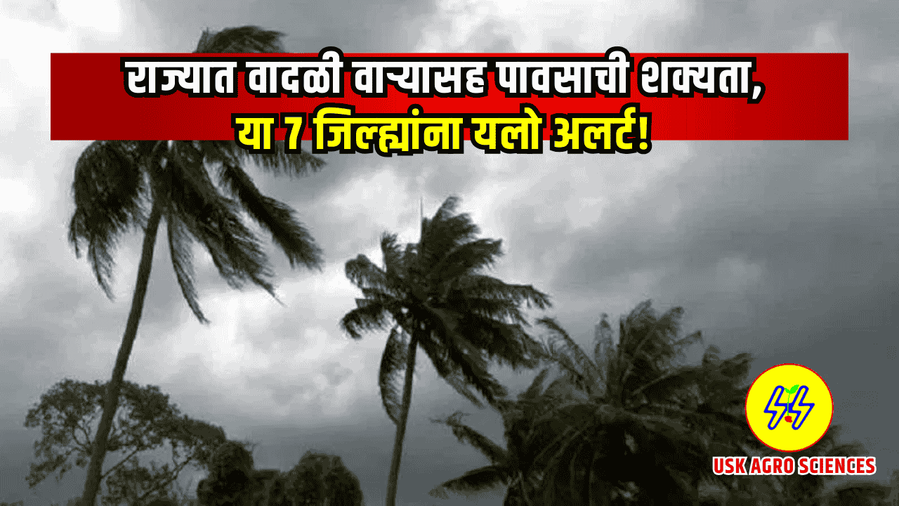 Maharashtra Weather Update 2025