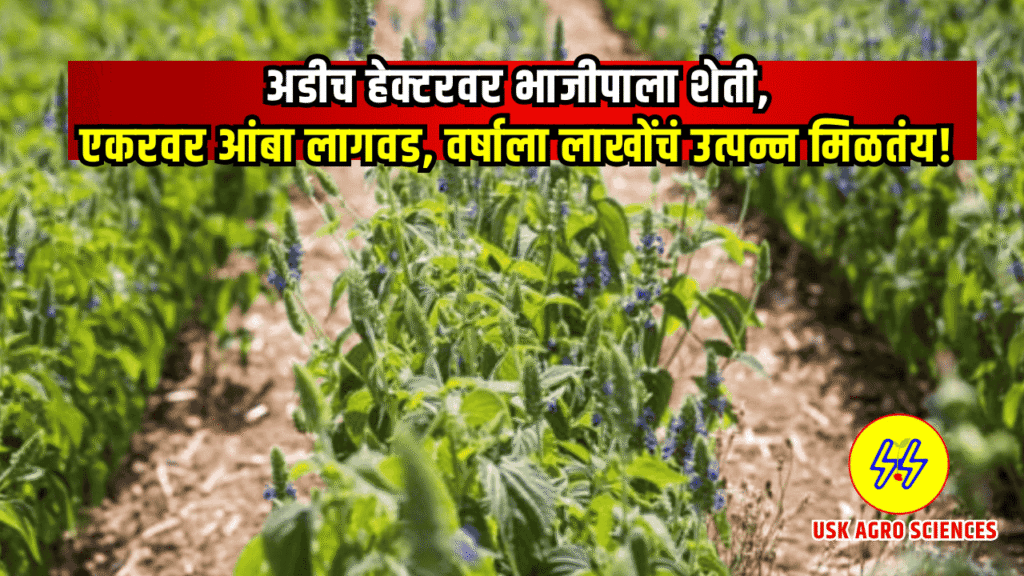 Vegetable Farming 2025
