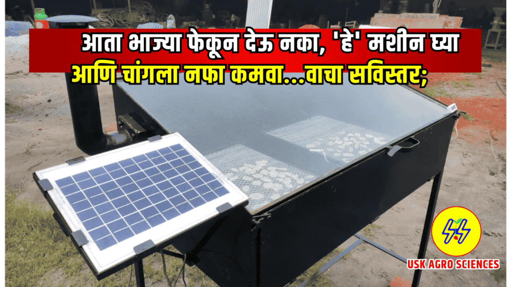 Solar Dehydrator 2025