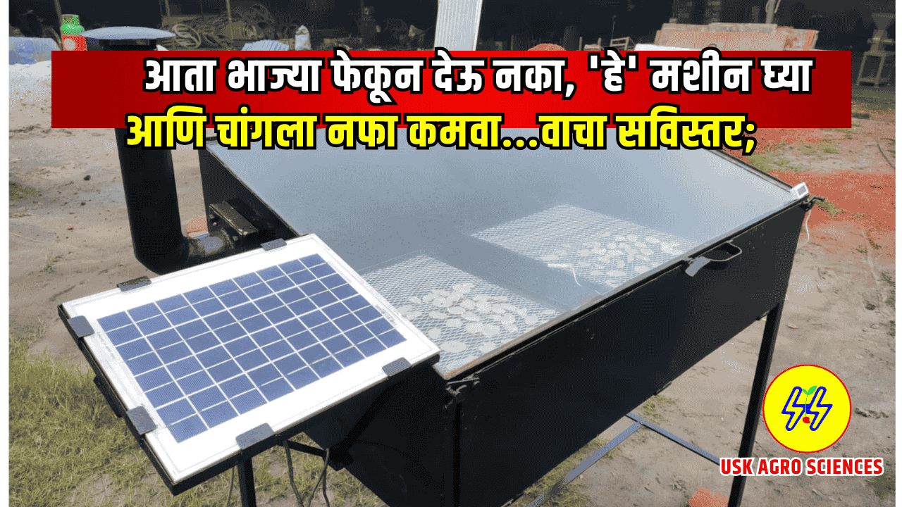 Solar Dehydrator 2025