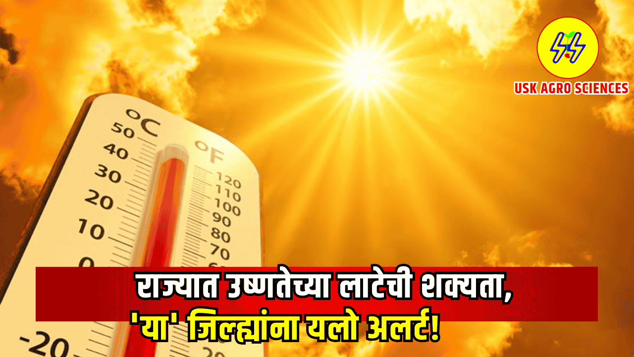 Maharashtra Weather Update 2025