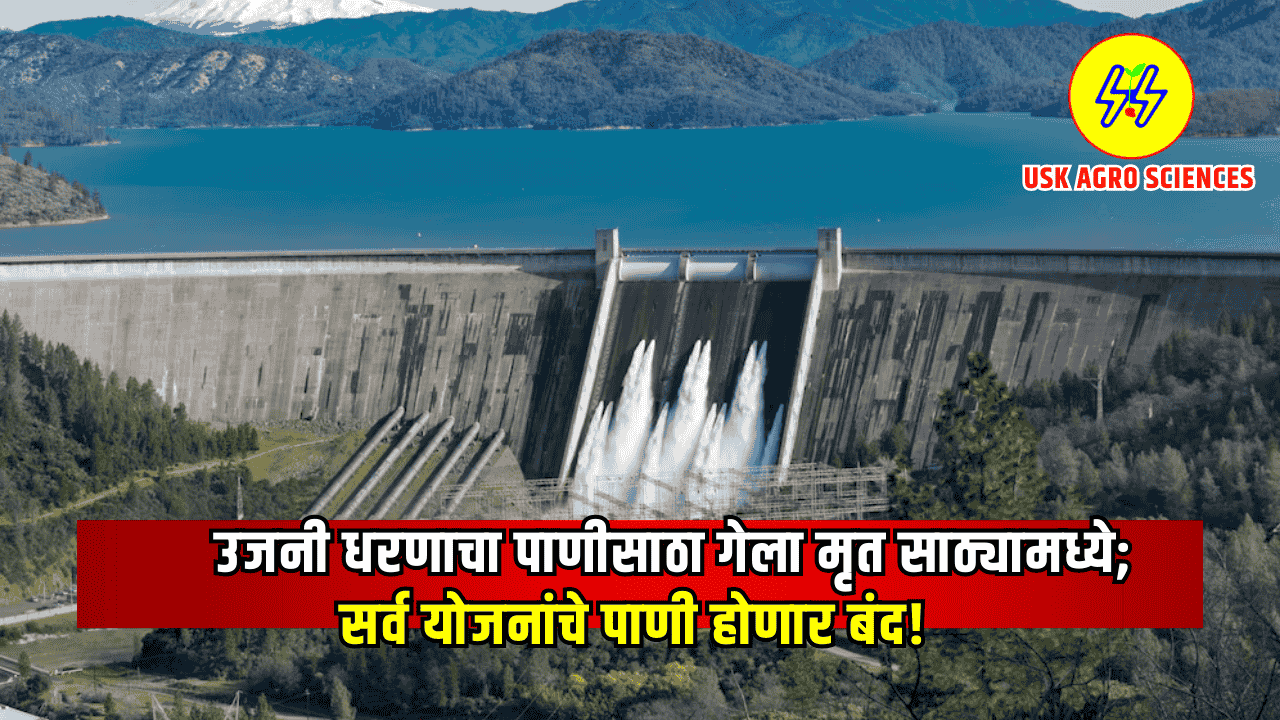Ujani Dam Minus 2025