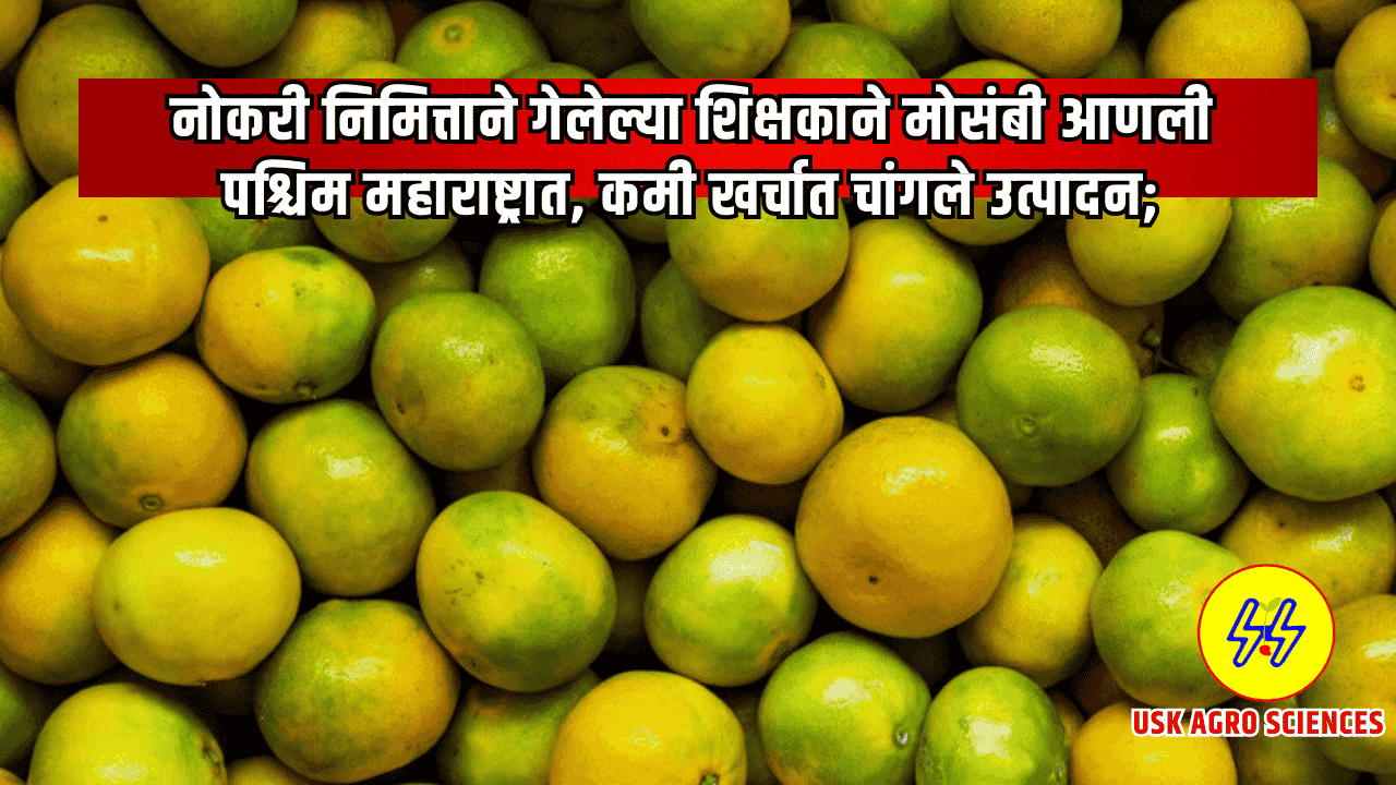 Farmer Success Story 2025