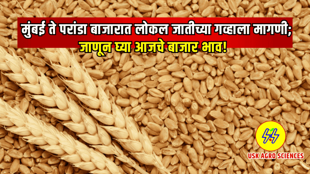 Gahu Bajarbhav 2025