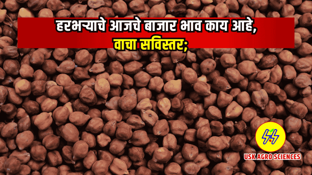 Harbhara Bajarbhav 2025