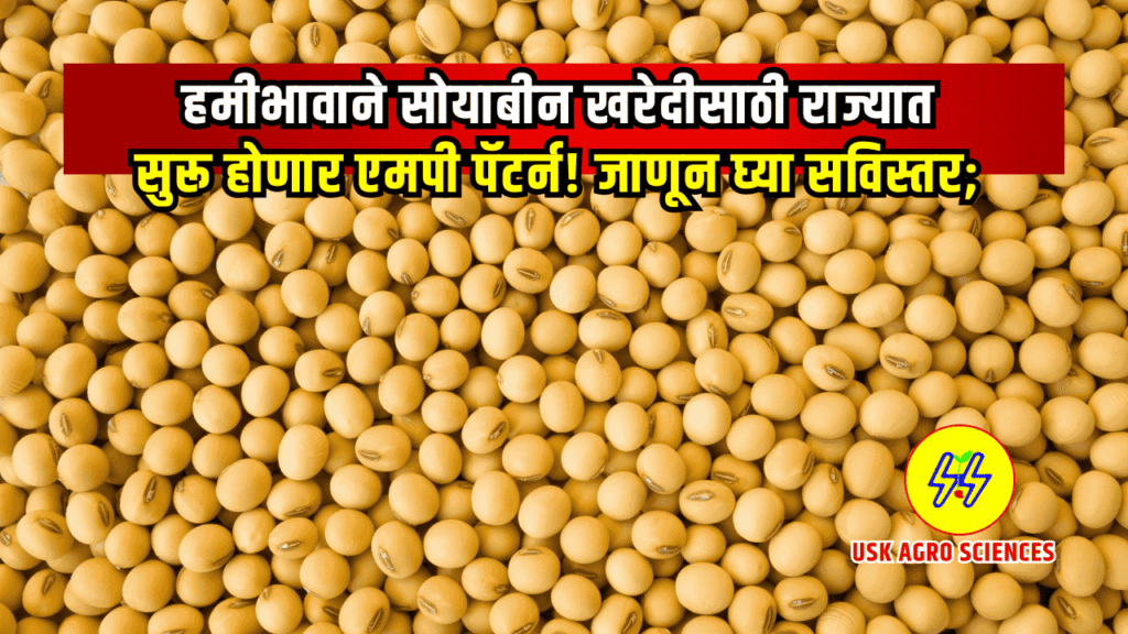 Soybean Kharedi 2025