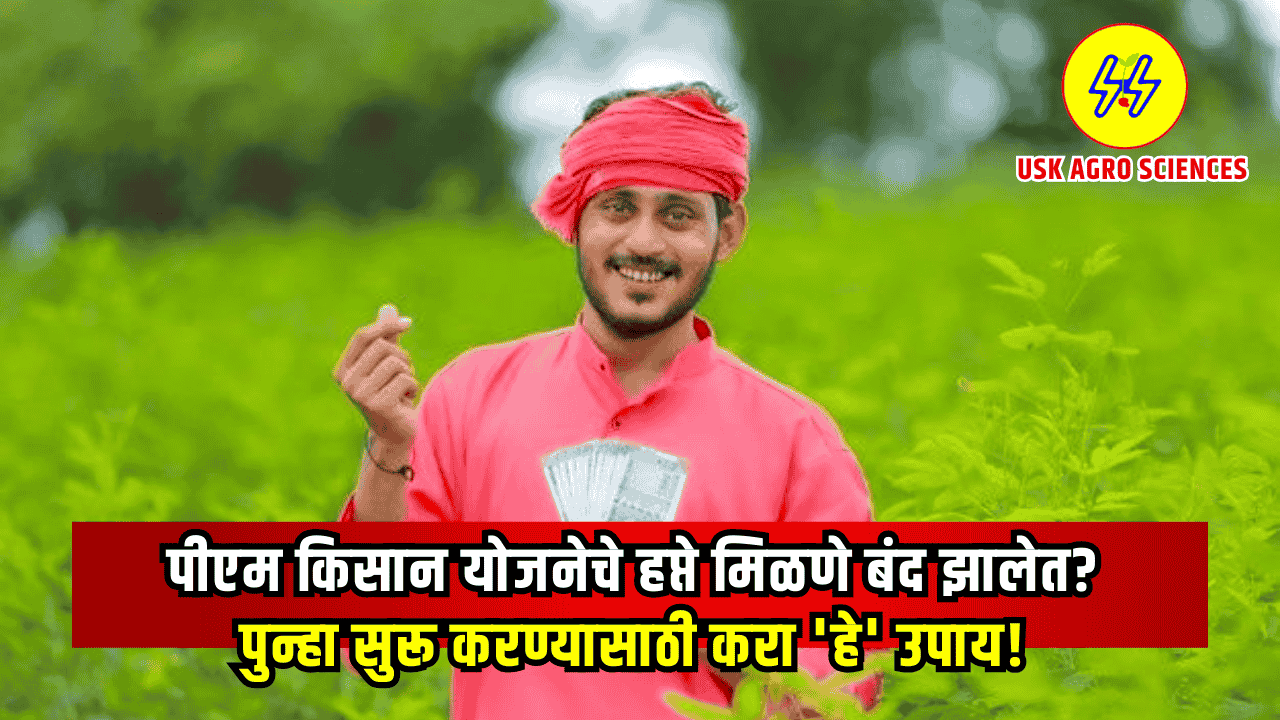 PM Kisan Yojana 2025