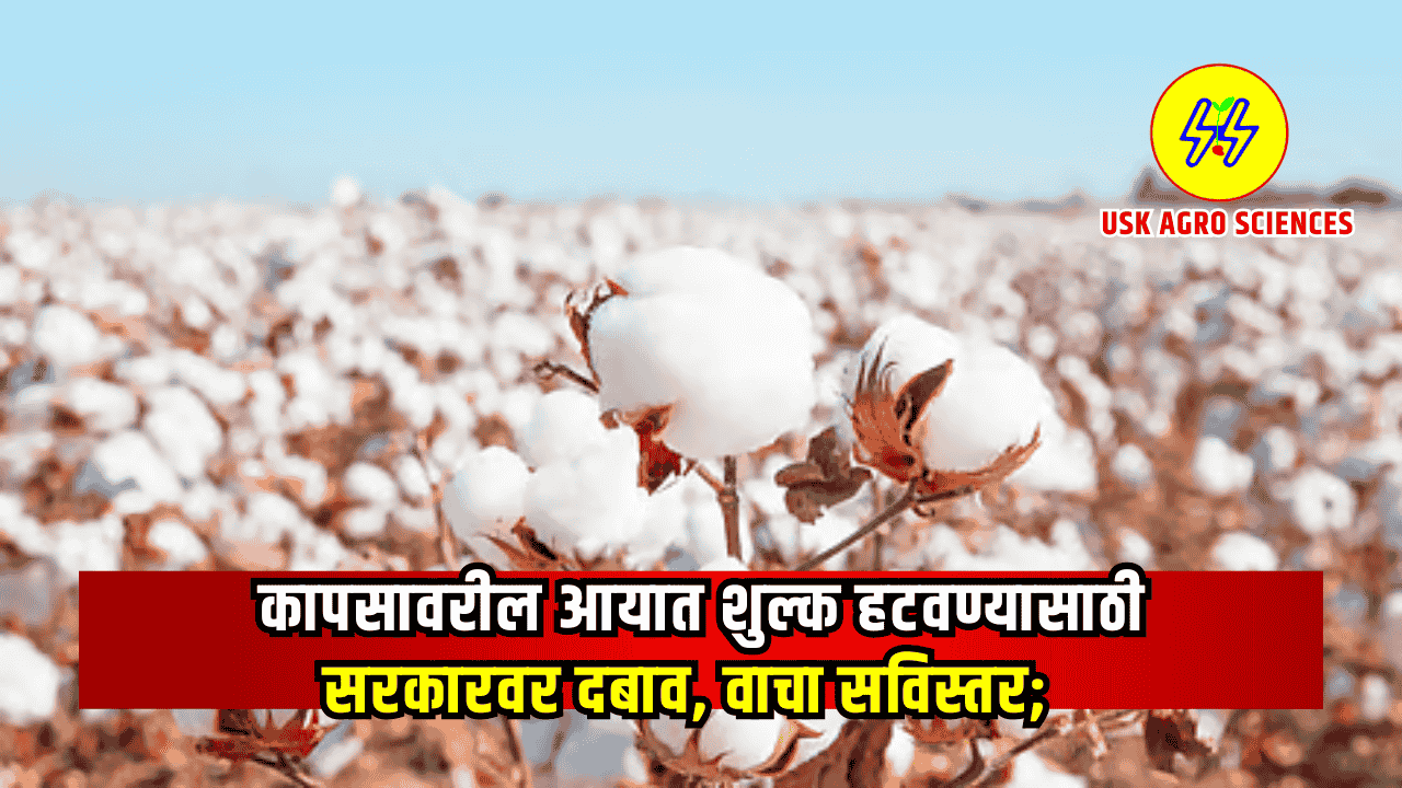 Kapus Aayat Shulk 2025