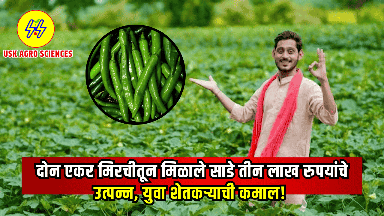 Farmer Success Story 2025