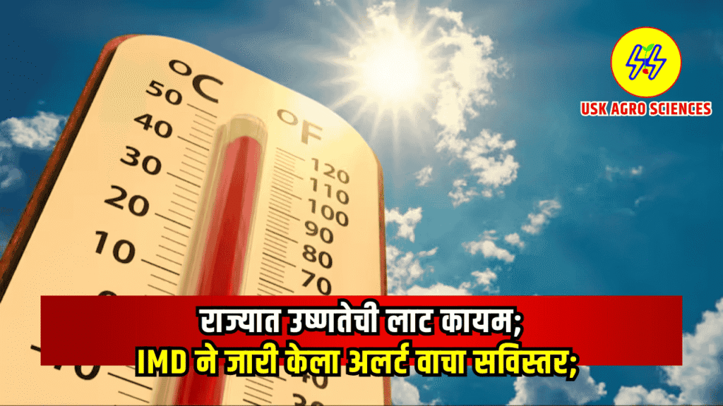Maharashtra Weather Update 2025
