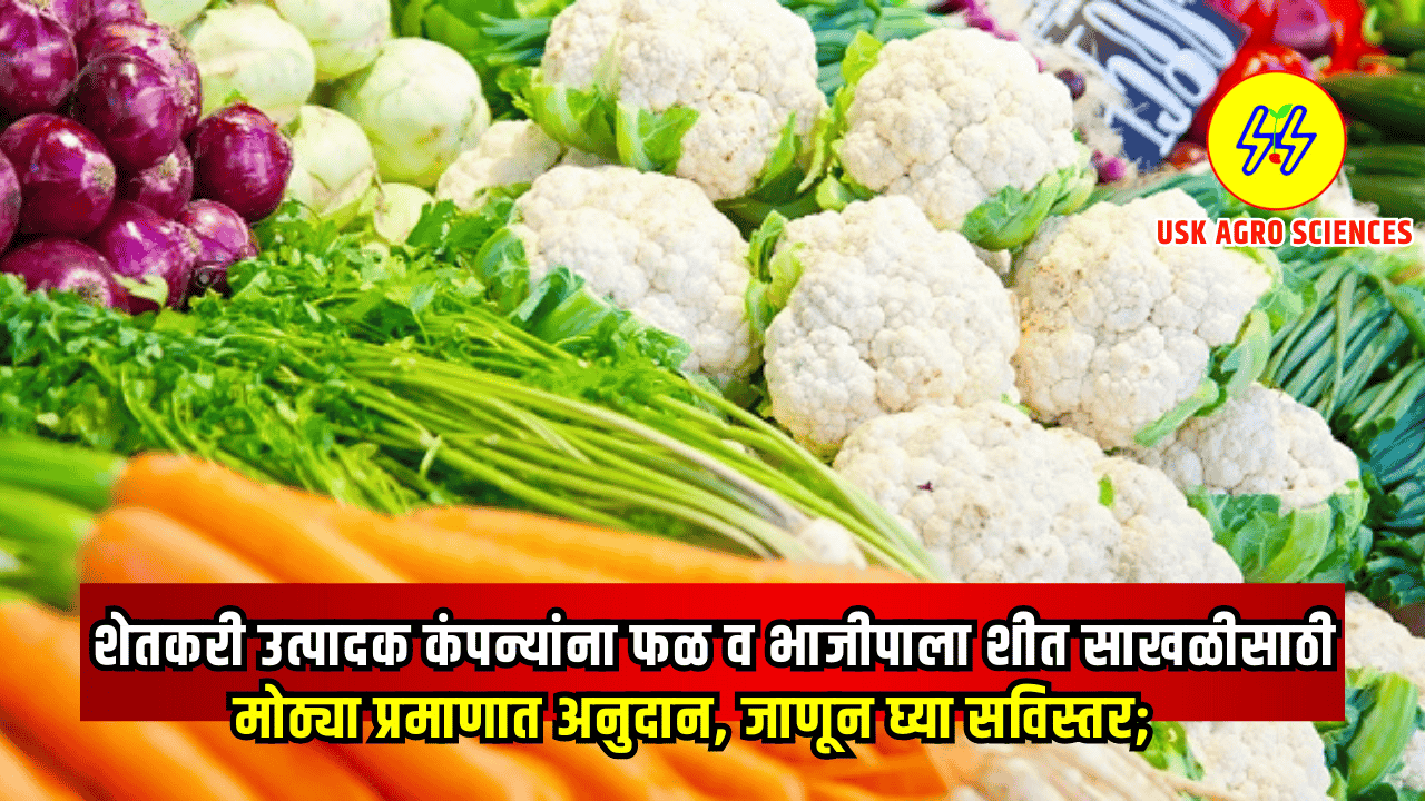 Vegetable Storage Scheme 2025