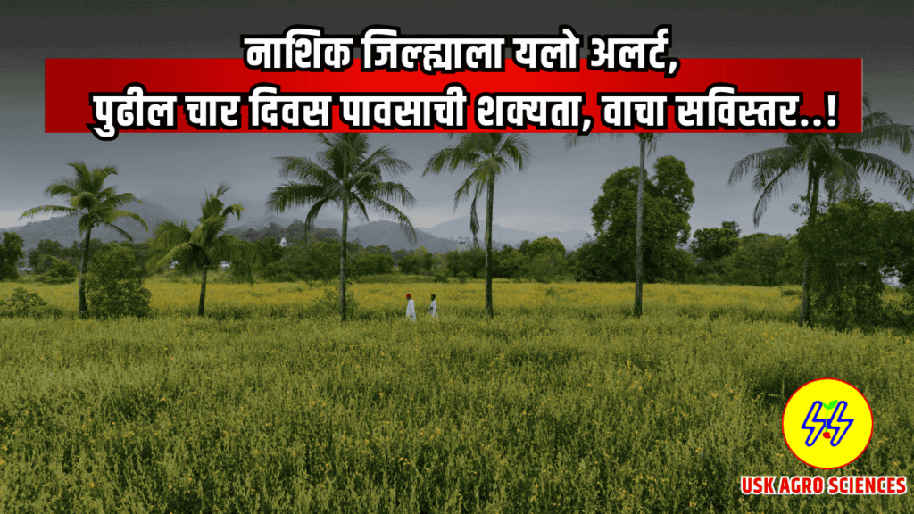 Nashik Rain Yellow Alert 2025