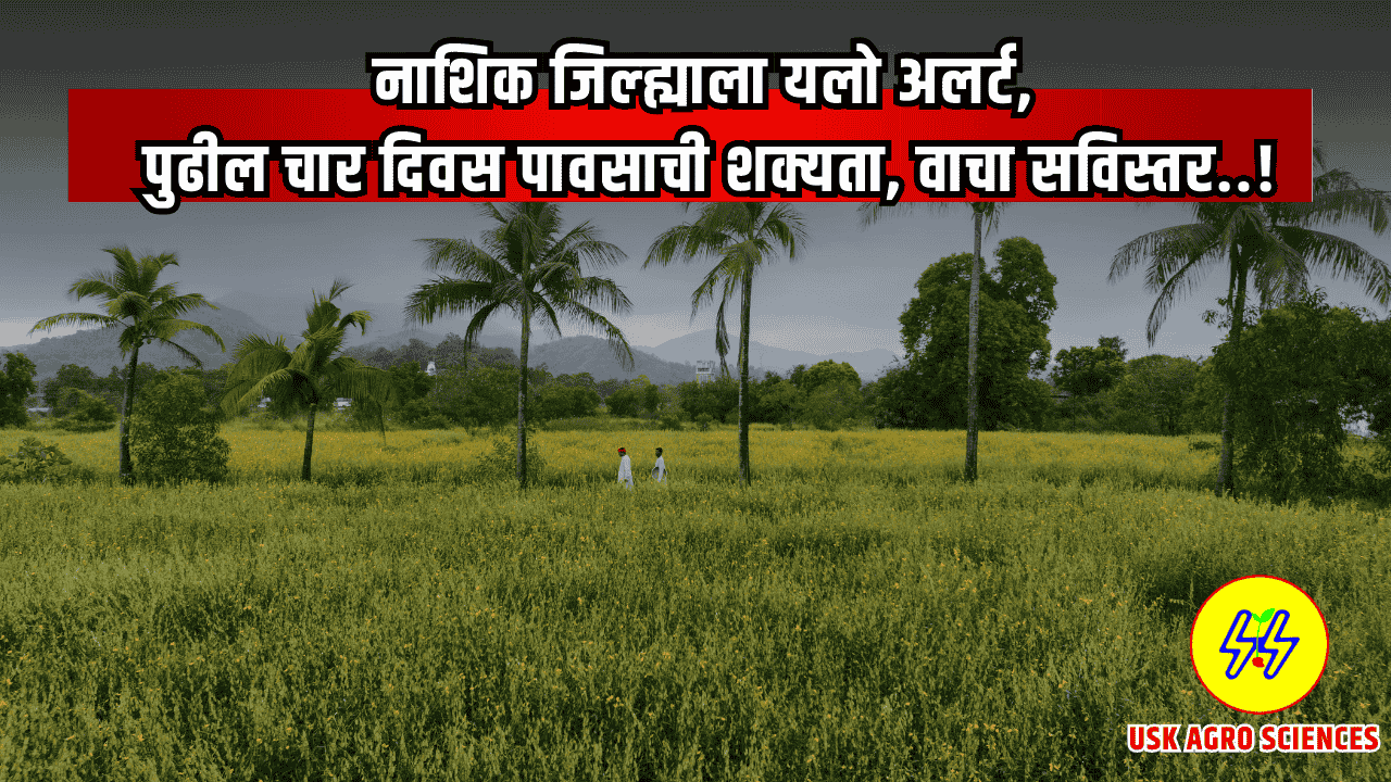 Nashik Rain Yellow Alert 2025