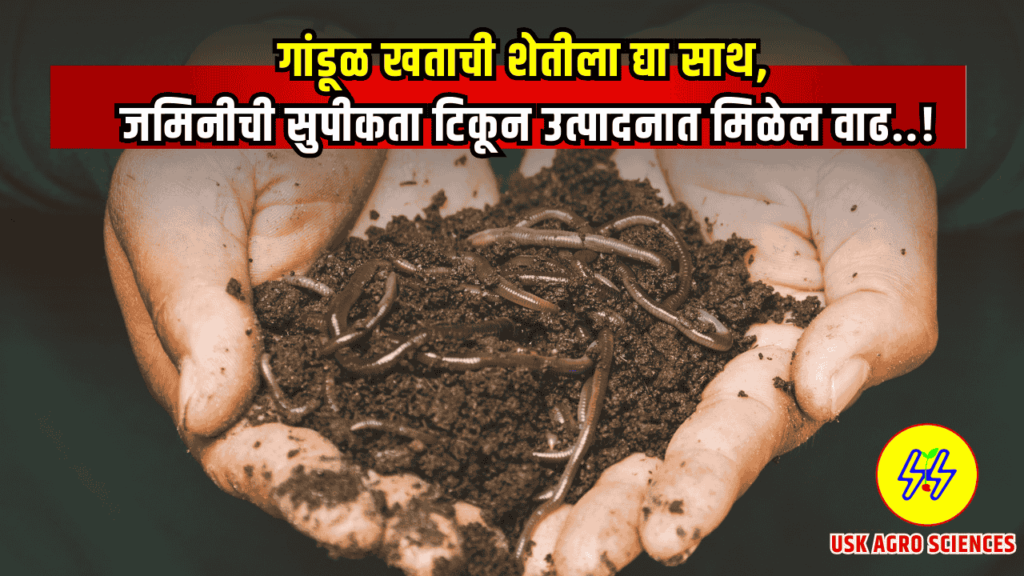 Vermi Compost Fertilizer 2025