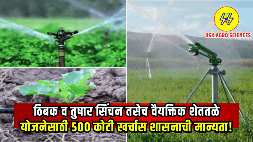 Thibk Sinchan Yojana 2025