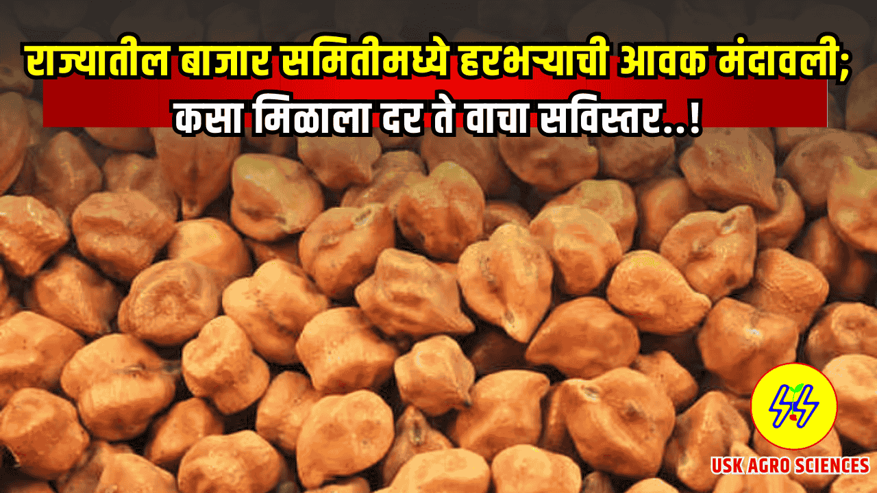 Harbhara Bajarbhav 2025