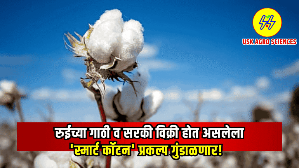 Smart Cotton Project 2025