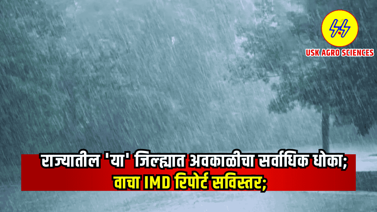 Maharashtra Weather Update 2025