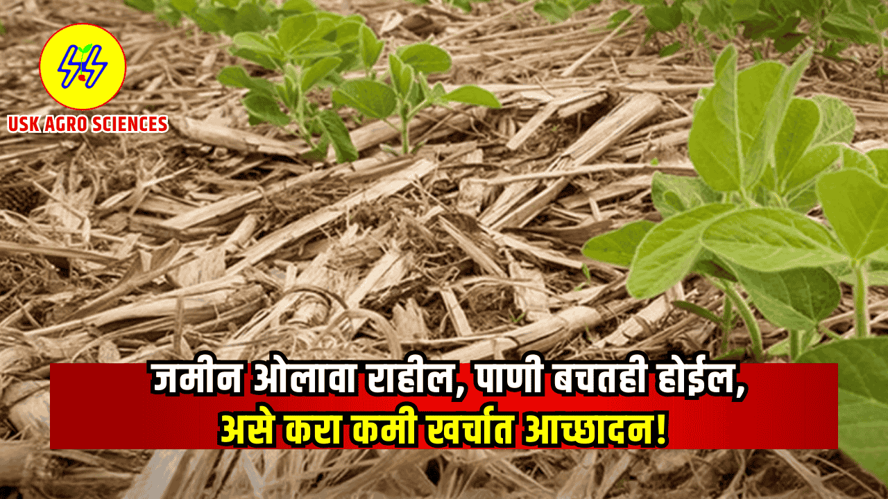 Crop Management Technique 2025