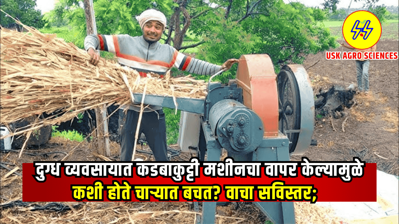 Kadba Kutti Machine 2025