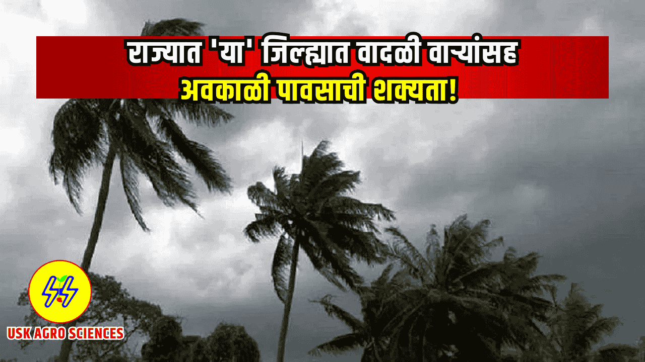 Maharashtra Weather Update 2025