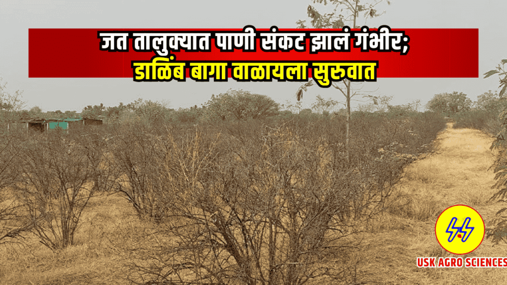 Dushkali Paristhiti 2025