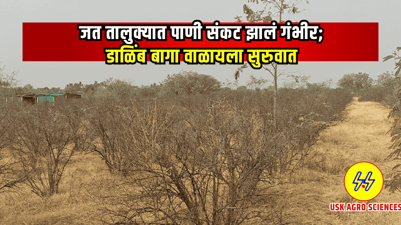 Dushkali Paristhiti 2025